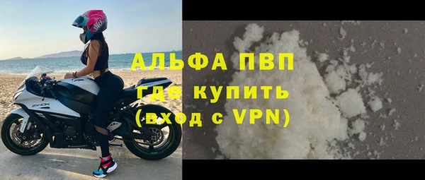 прущие крисы Бородино