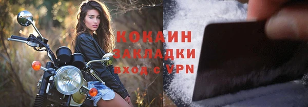 твердый Бронницы