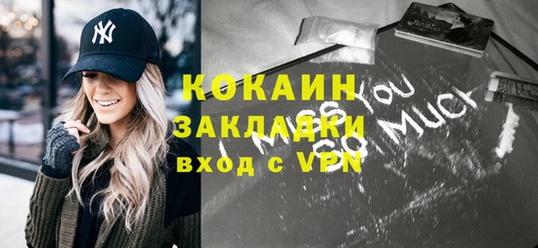 прущие крисы Бородино