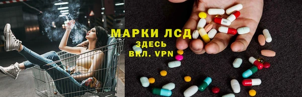 прущие крисы Бородино