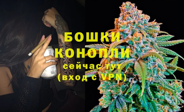 прущие крисы Бородино