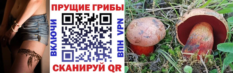 Галлюциногенные грибы GOLDEN TEACHER  Купить где  Отрадный 